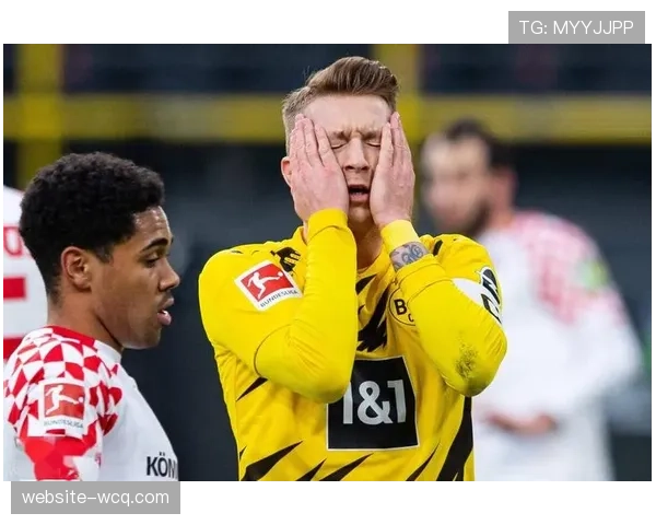 德甲官方应用程序下载量突破一亿次,付费订阅用户增长率环比下降